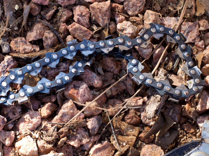 silex tronix y bandix son los portainjertos para tomate de fito