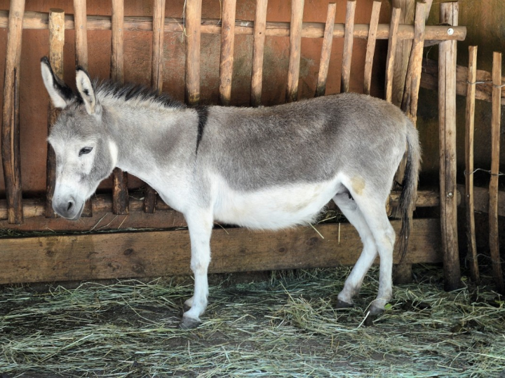 te traemos las recetas para burritos mas irresistibles