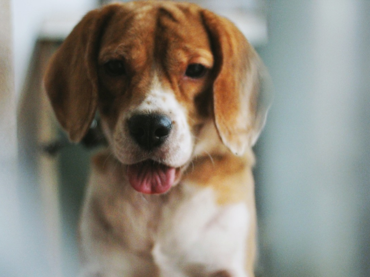 tecnicas y tratamientos para las sienes hundidas