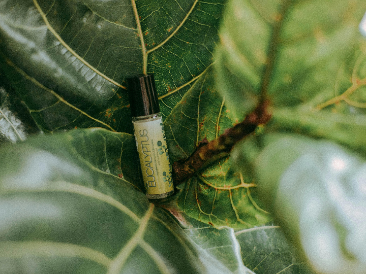 tiendas para comprar cbd en collado villalba