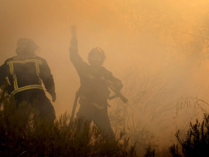 todos los hijos de puta del mundo
