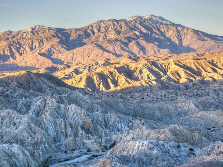 vino cresta rosa opiniones y analisis