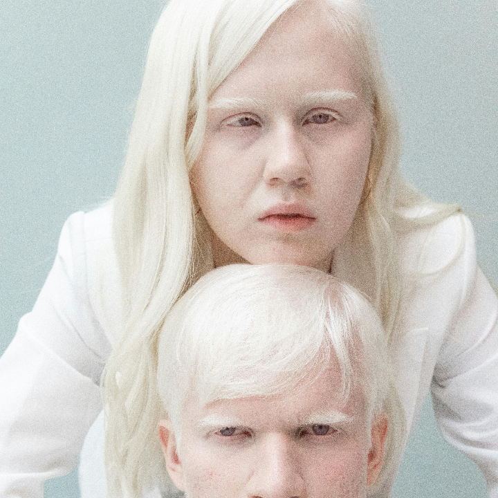 vitamina k1 fitomenadiona 100 mcg 100 comprimidos