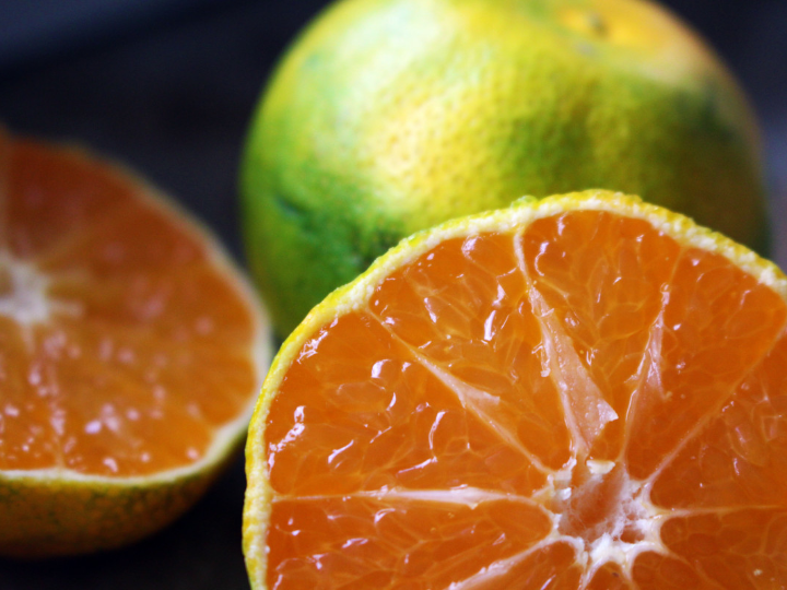 why is the valencian orange the best in the world