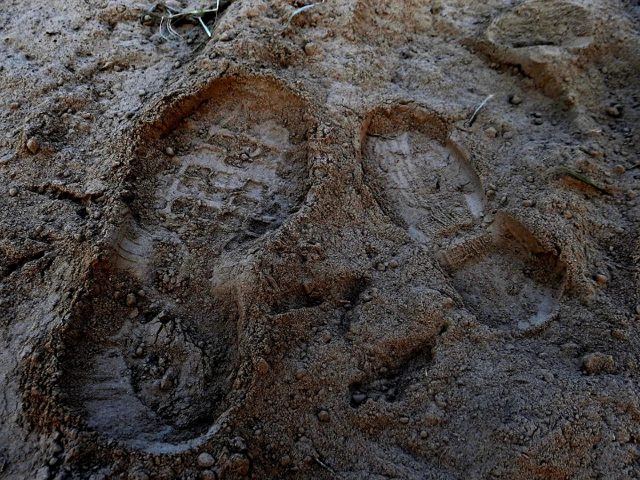 zapatillas de trail para barro