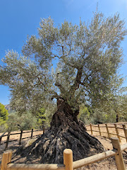Qué hacer en Horta de Sant Joan